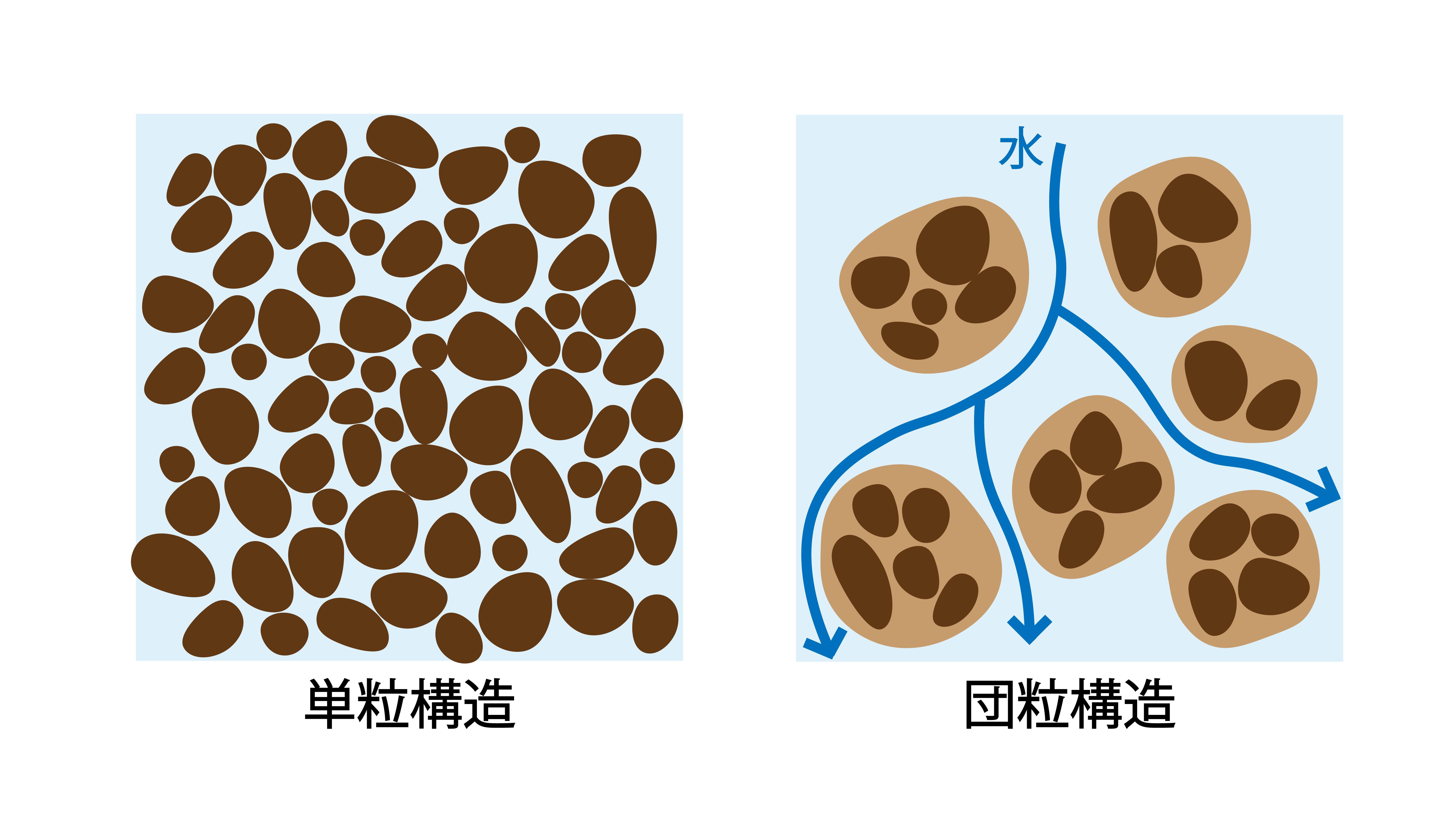 団粒構造